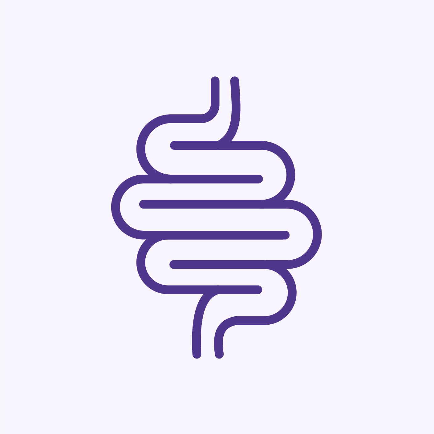 Dog Digestion Support