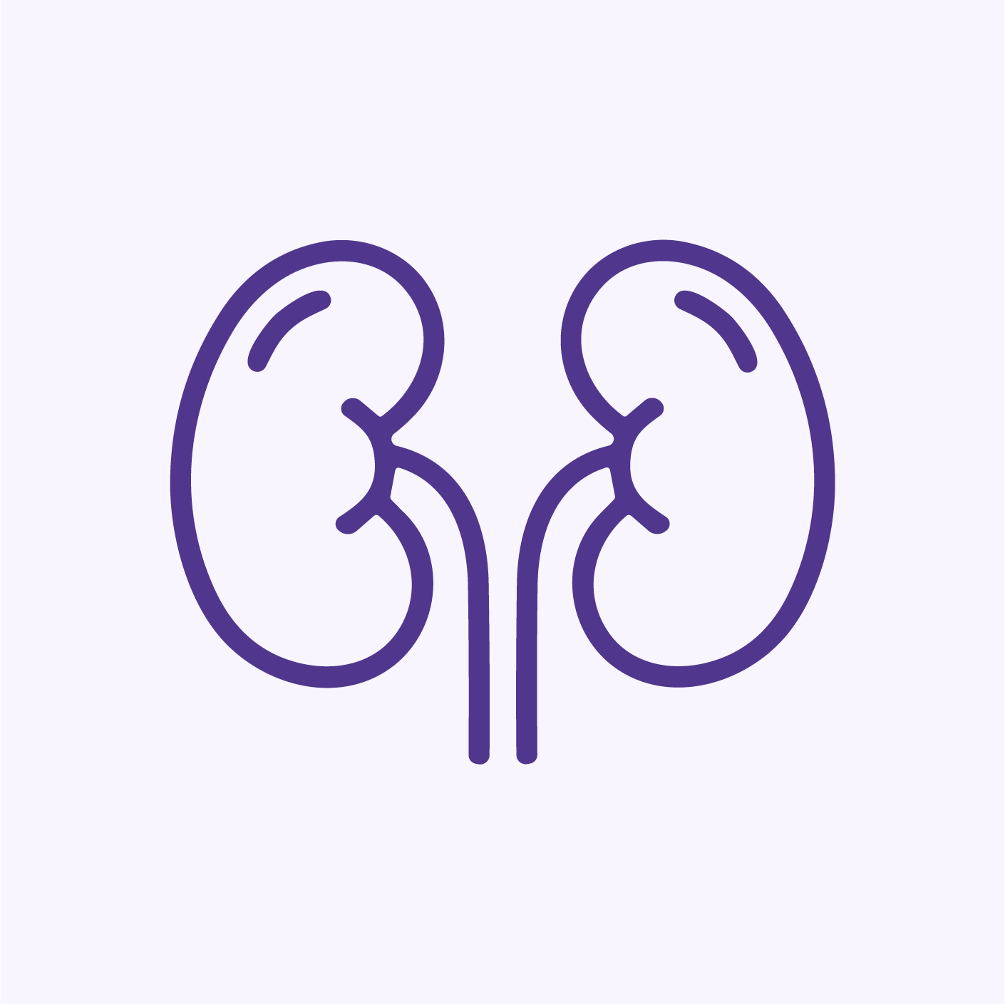 Dog Urinary & Renal Support