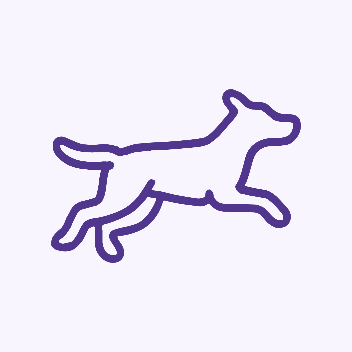 Dog Performance & Activity