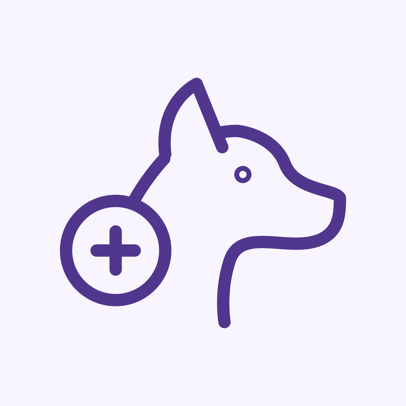 Dog Allergy & Food Sensitivity