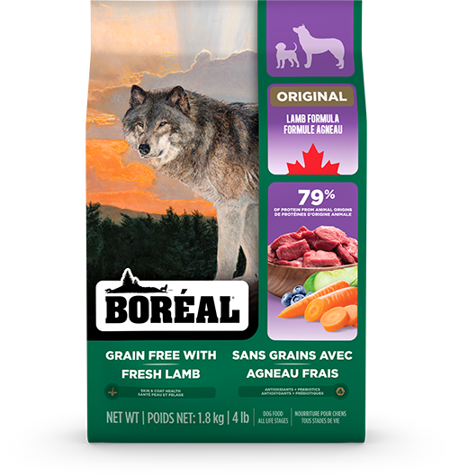 Boreal Original Grain Free Lamb Dry Dog Food