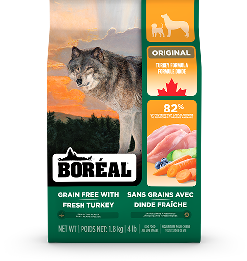 Boreal Original Grain Free Turkey Dry Dog Food