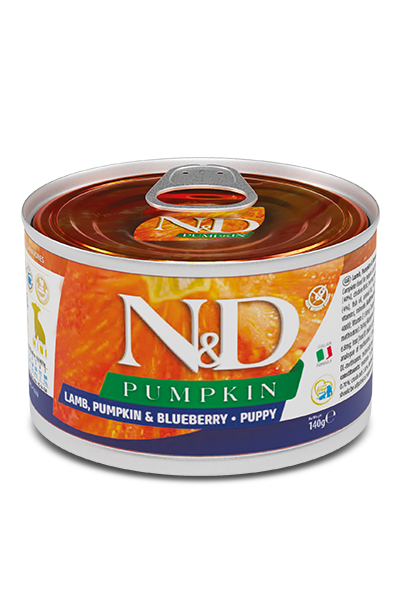 Farmina N&D Pumpkin Lamb Puppy Dog Wet Food