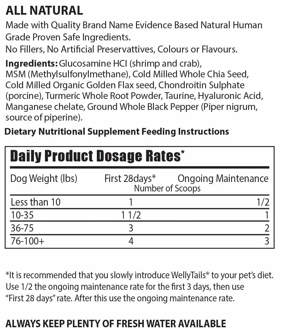 Wellytails 5 Way Joint Support Rx Dog