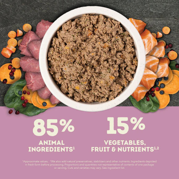 ACANA Premium Pate Lamb Recipe Dog Wet Food