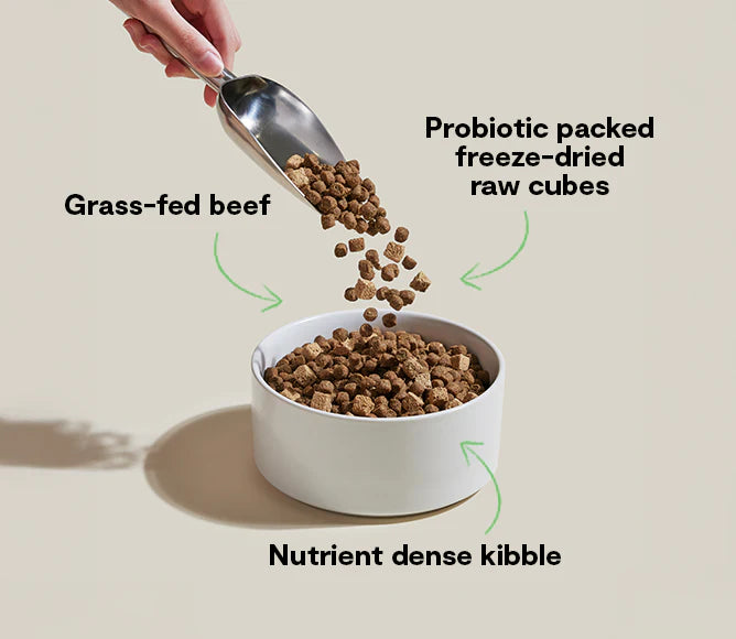 Open Farm Goodgut Grass-Fed Beef Dry Dog Food