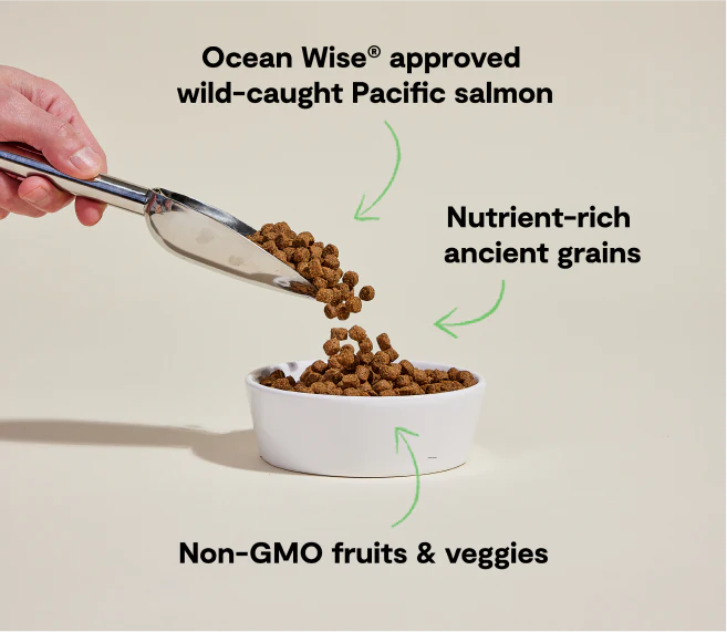 Open Farm Wild-Caught Ancient Grains Dry Dog Food