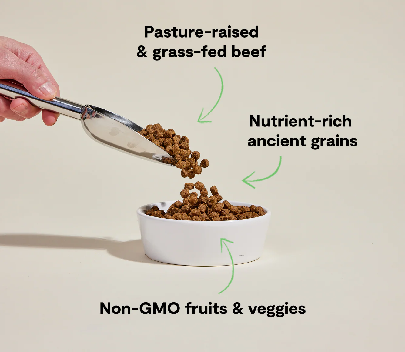 Open Farm Grass-Fed Beef Ancient Grains Dry Dog Food