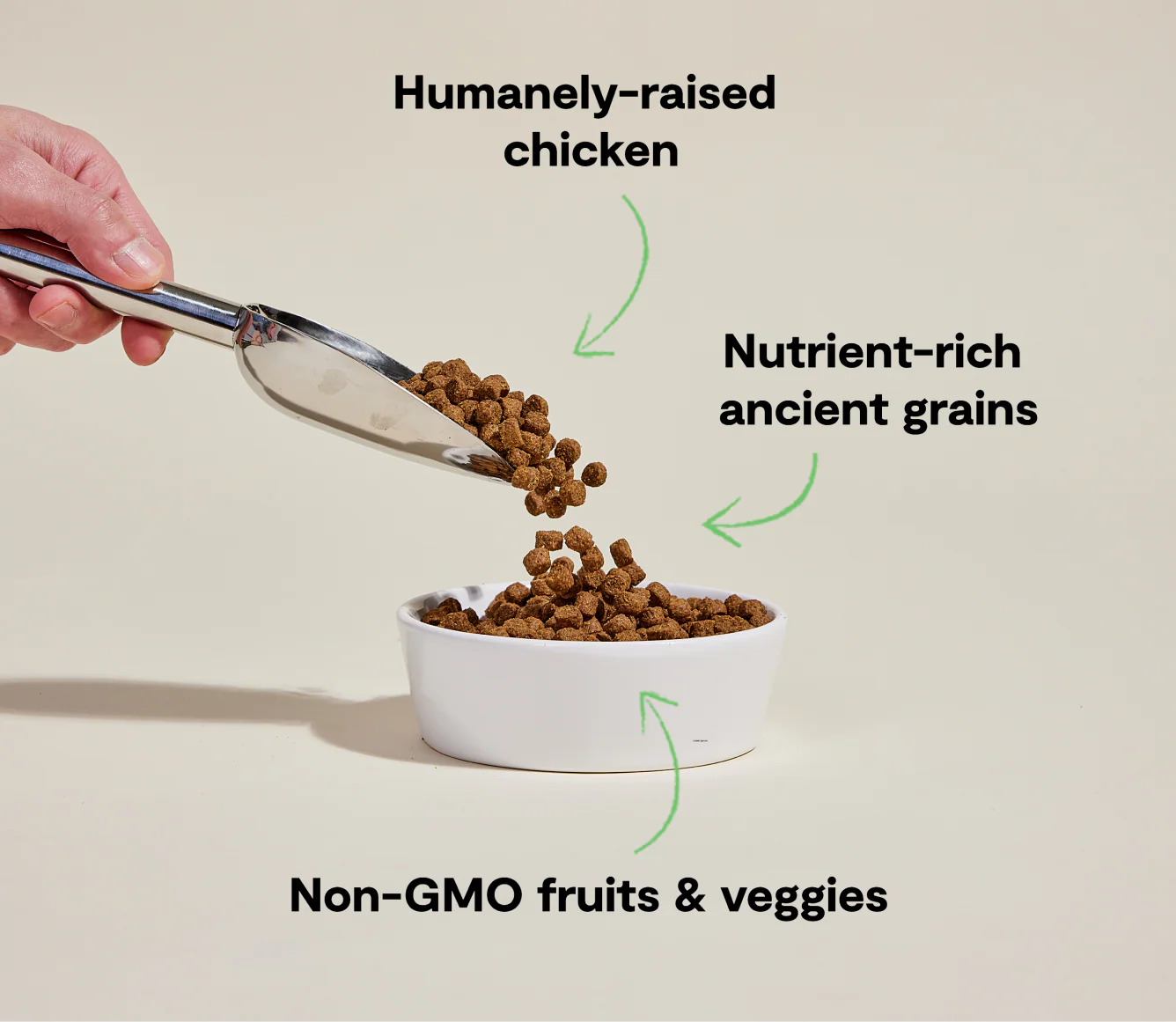 Open Farm Harvest Chicken Ancient Grains Dry Dog Food