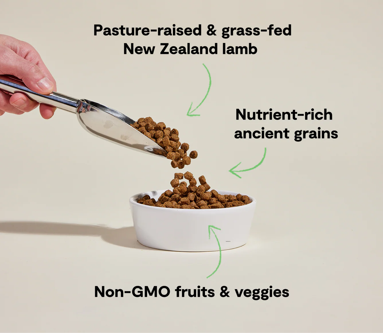 Open Farm Pasture-Raised Lamb Ancient Grains Dry Dog Food