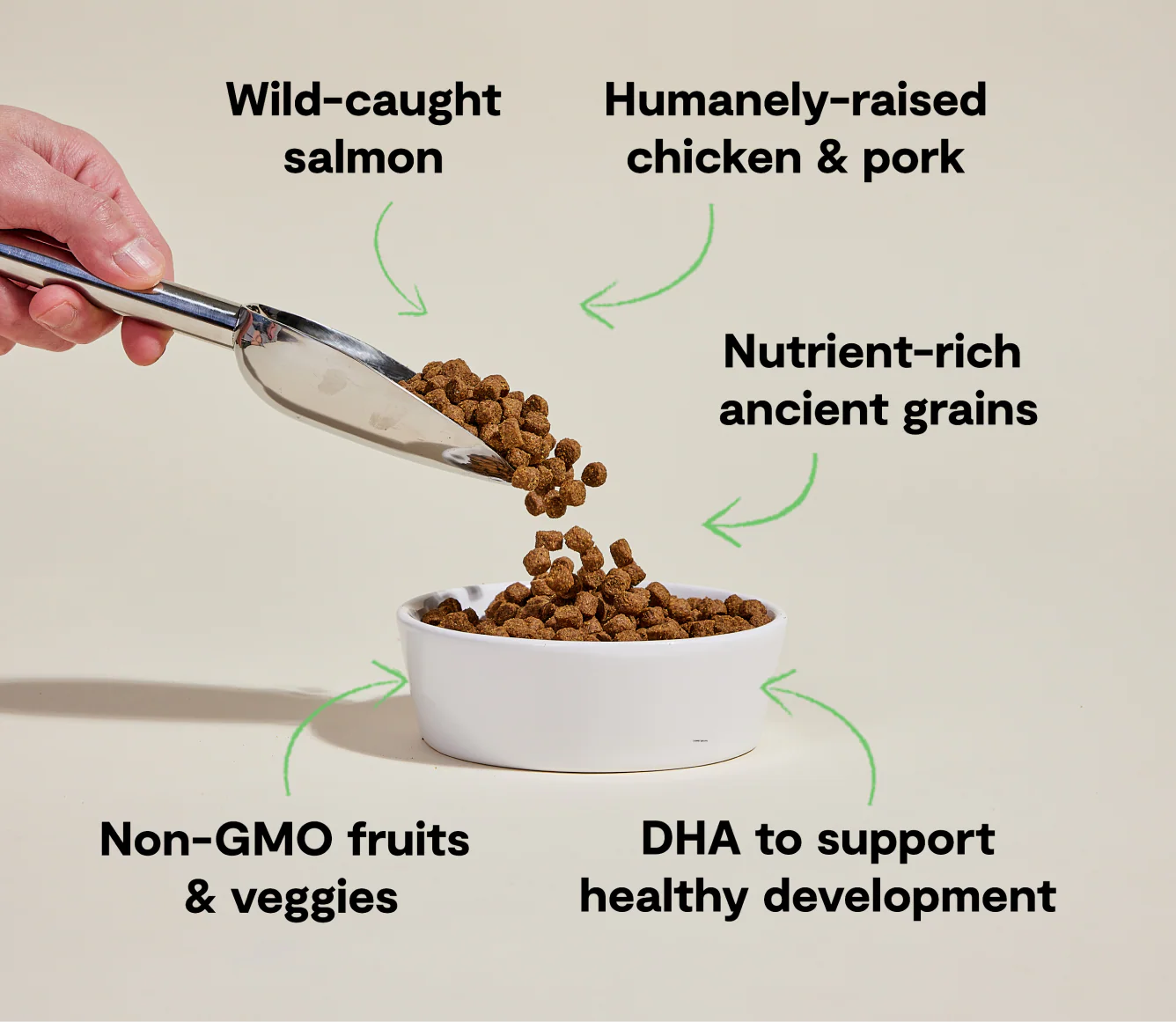 Open Farm Puppy Ancient Grains Dry Dog Food