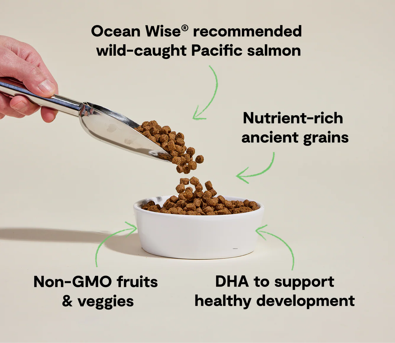 Open Farm Puppy Salmon Ancient Grains Dry Dog Food