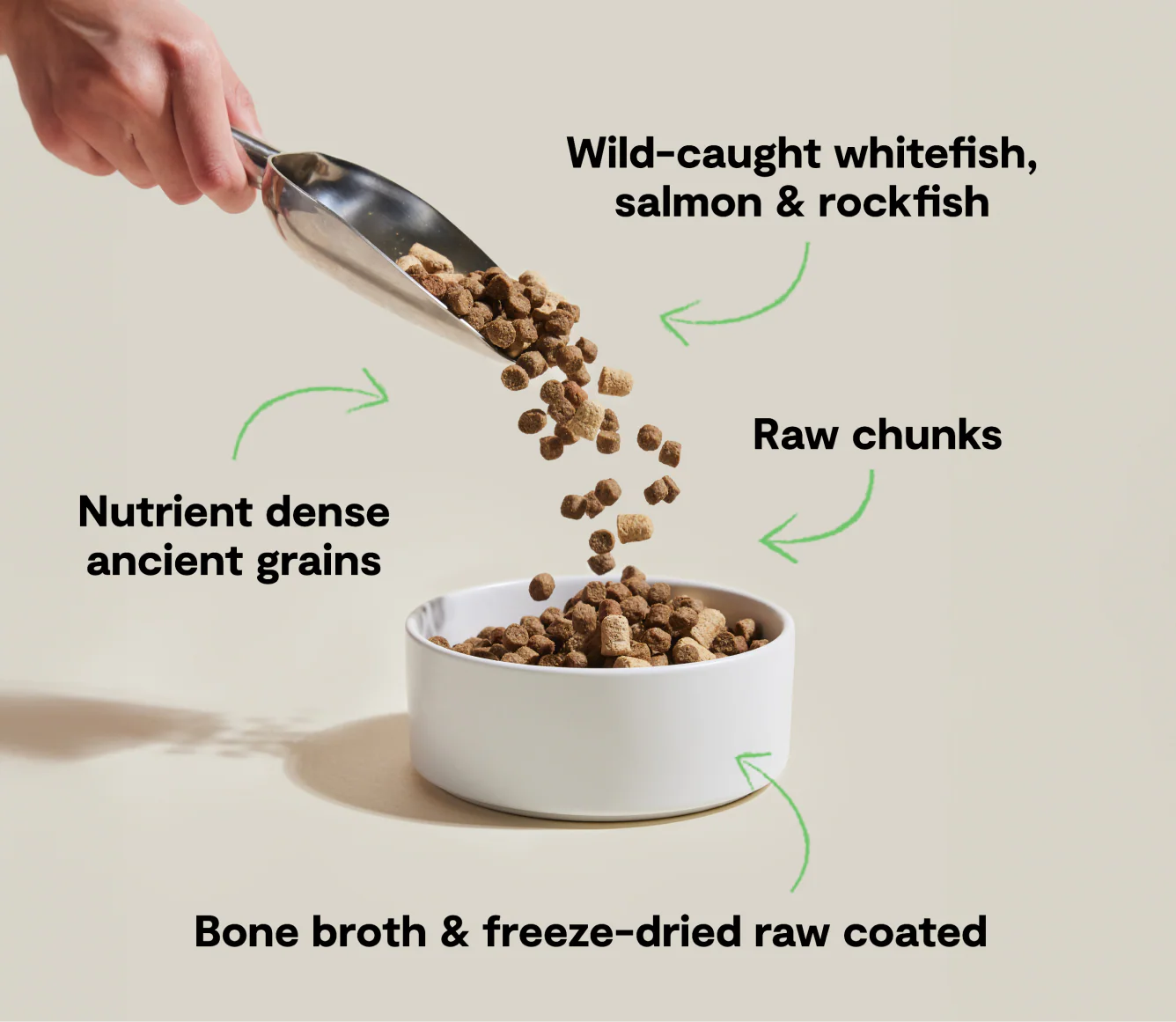 Open Farm Rawmix Ancient Grains Wild Ocean Recipe Dry Dog Food