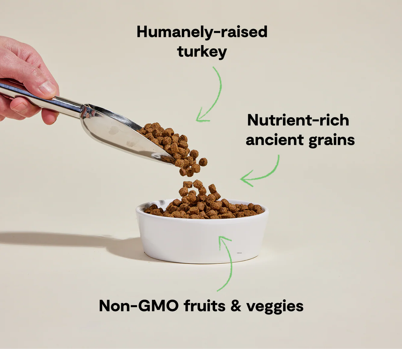 Open Farm Homestead Turkey Ancient Grains Dry Dog Food