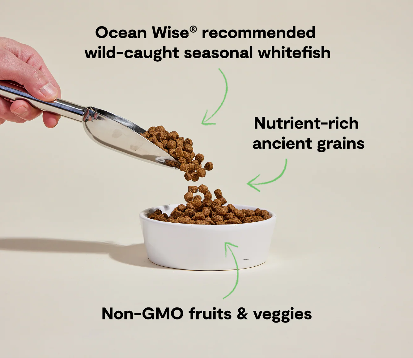 Open Farm Catch-of-the-Season Whitefish Ancient Grains Dry Dog Food