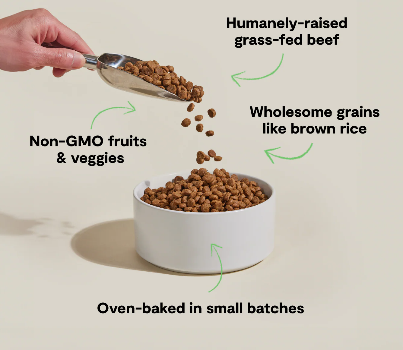 Open Farm Goodbowl Grass-Fed & Brown Rice Recipe Dry Dog Food