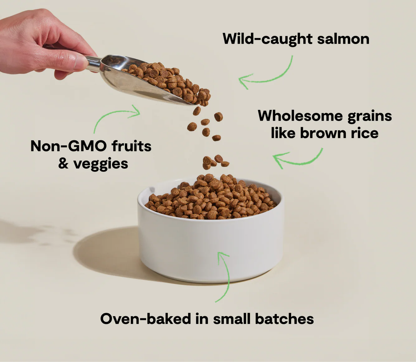Open Farm Goodbowl Wild-Caught Salmon Brown Rice Recipe Dry Dog Food