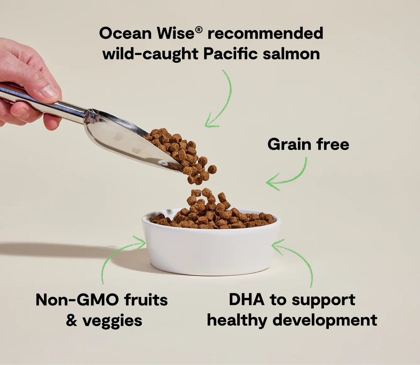 Open Farm Puppy Salmon & Sweet Potato Grain-Free Dry Dog Food