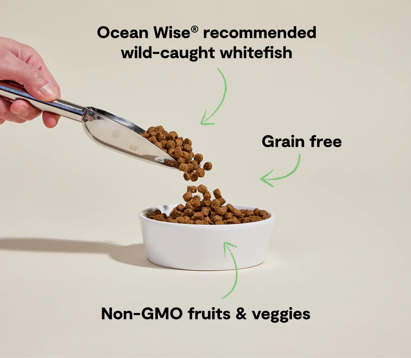 Open Farm Catch-of-the-Season Whitefish Grain-Free Dry Dog Food