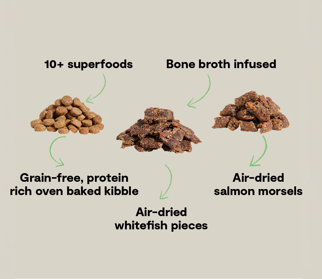 Open Farm Epic Blend Grain Free Salmon & Superfood Recipe Dry Dog Food