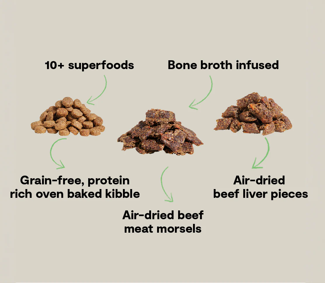 Open Farm Epic Blend Grain Free Beef & Superfood Recipe Dry Dog Food
