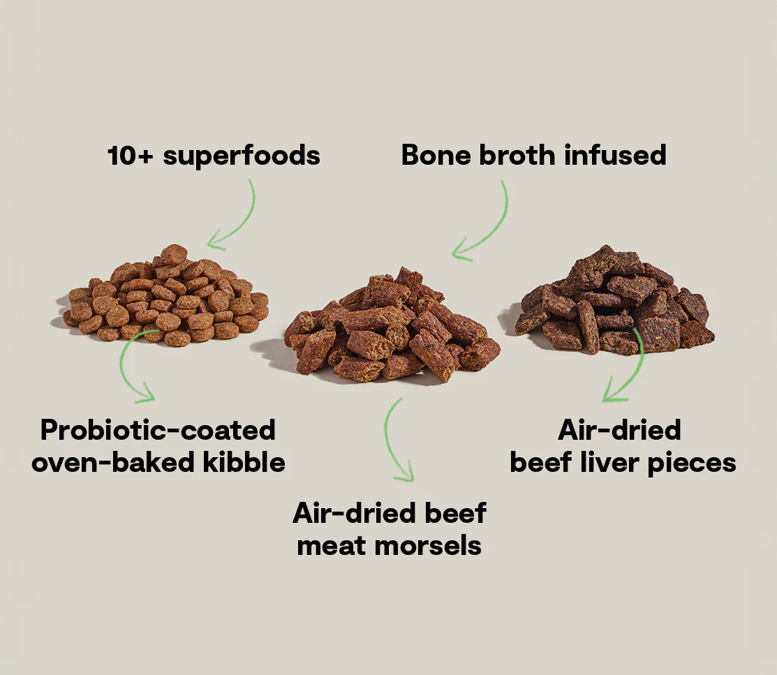 Open Farm Epic Blend With Grain Beef & Superfood Recipe Dry Dog Food