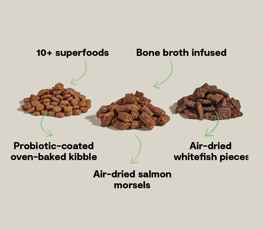Open Farm Epic Blend With Grain Salmon & Superfood Recipe Dry Dog Food