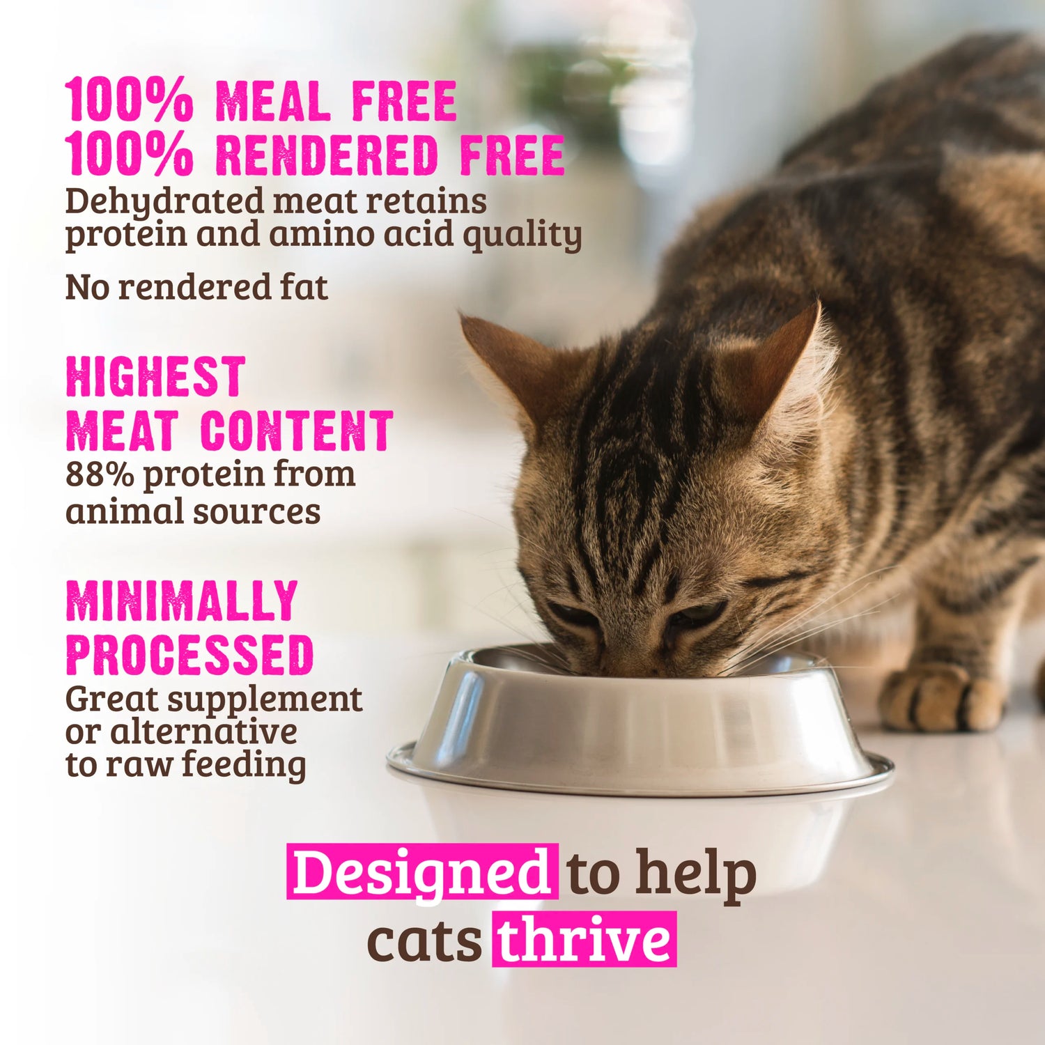 Rawz Chicken Dry Cat Food