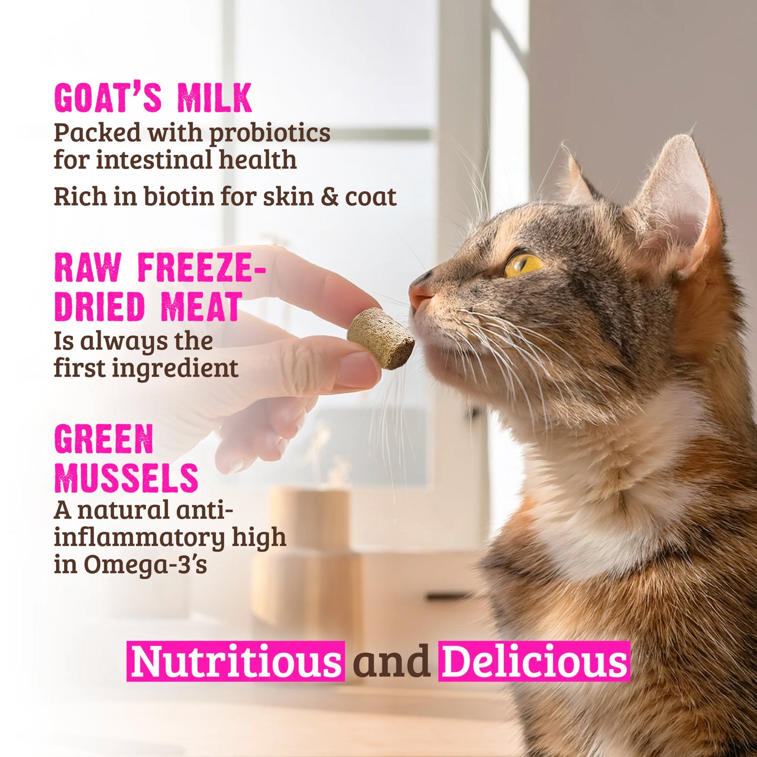 RAWZ Freeze Dried Rabbit & Goats Milk Cat Treats