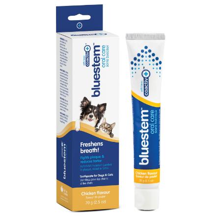 Bluestem Toothpaste Chicken Flavor For Dog and Cat 70g