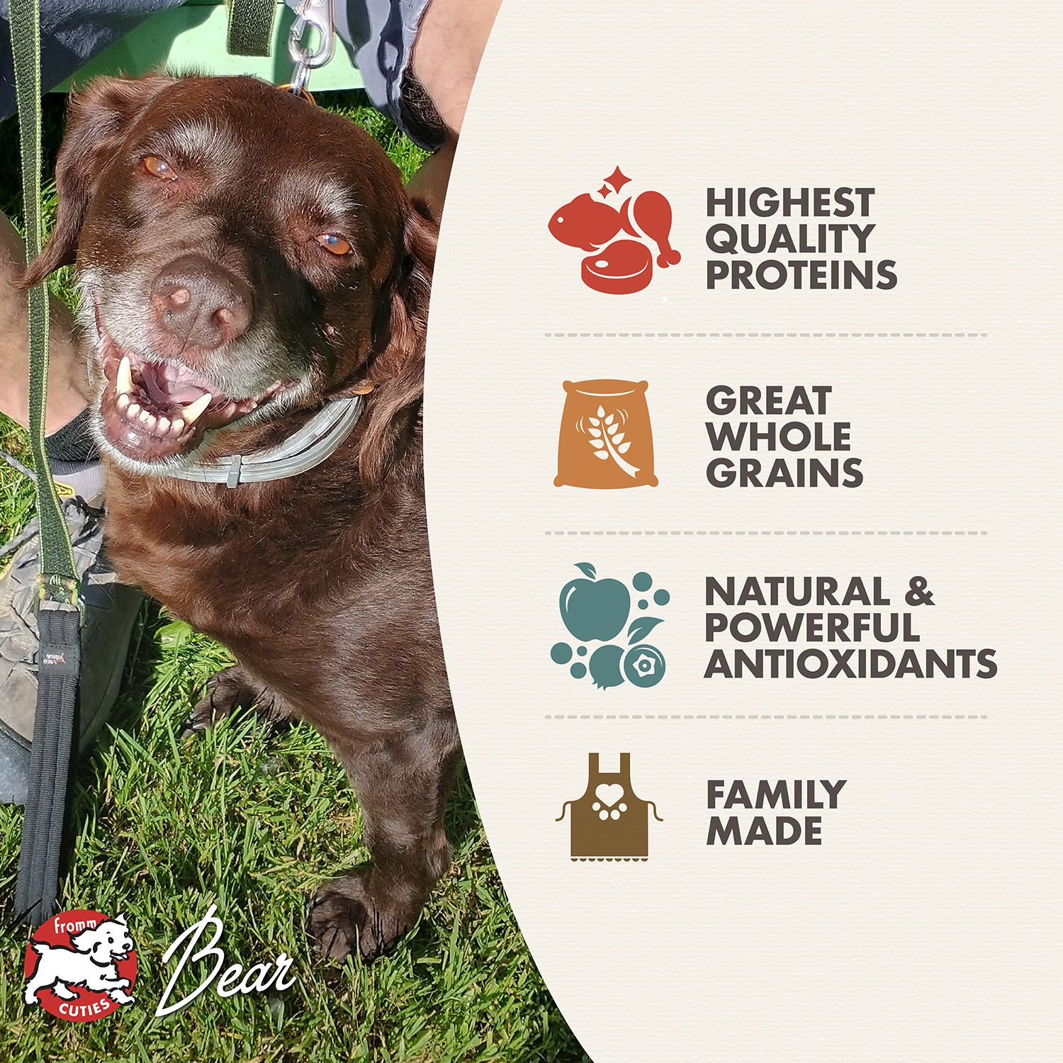 Fromm Classic Adult Recipe Dog Dry Food