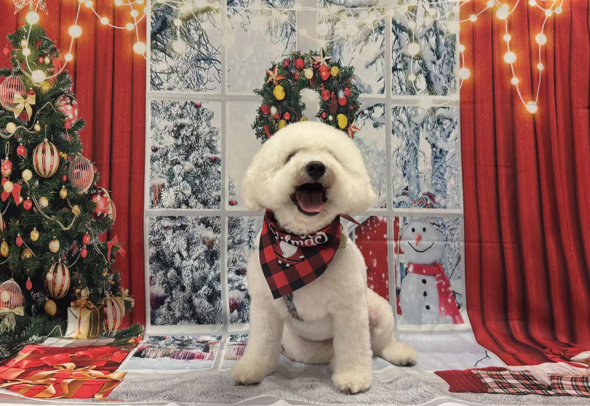 Paws Love Pet Grooming listing photo