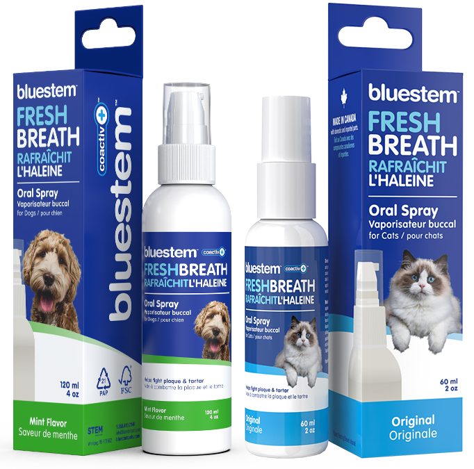 Bluestem Oral Care Spray