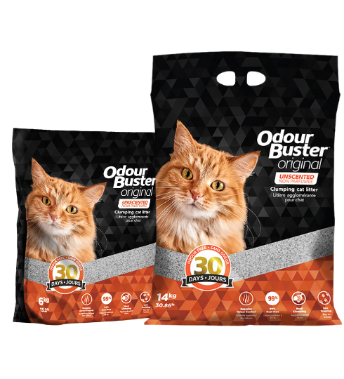 Odour Buster Original Premium Cat Litter
