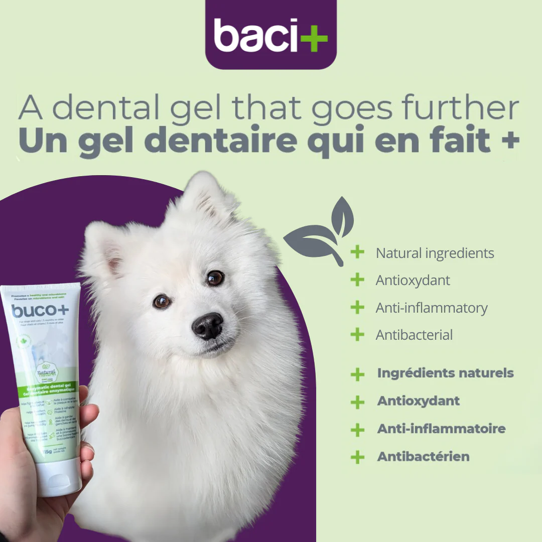 baci+ Oral Health buco+ Enzymatic Dental Gel For Cat and Dog