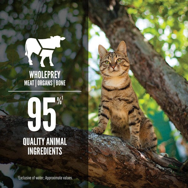 ORIJEN Tuna + Beef Entrée Cat Wet Food