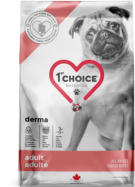 1st Choice Adult All Breed Derma Salmon Dog Dry Food