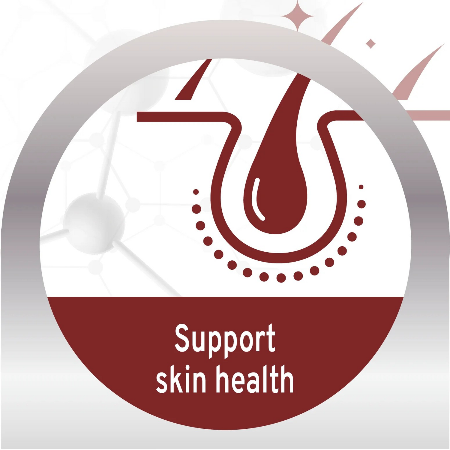 Forza 10 Active Dermo For Itchy Skin & Coat Health Dog Wet Food