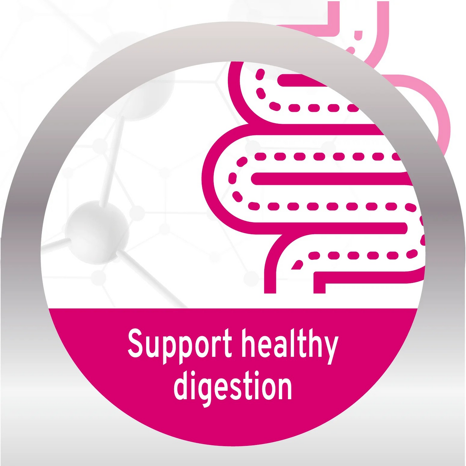 Forza 10 Active Intestinal For Sensitive Stomachs & Digestive Support Dog Wet Food