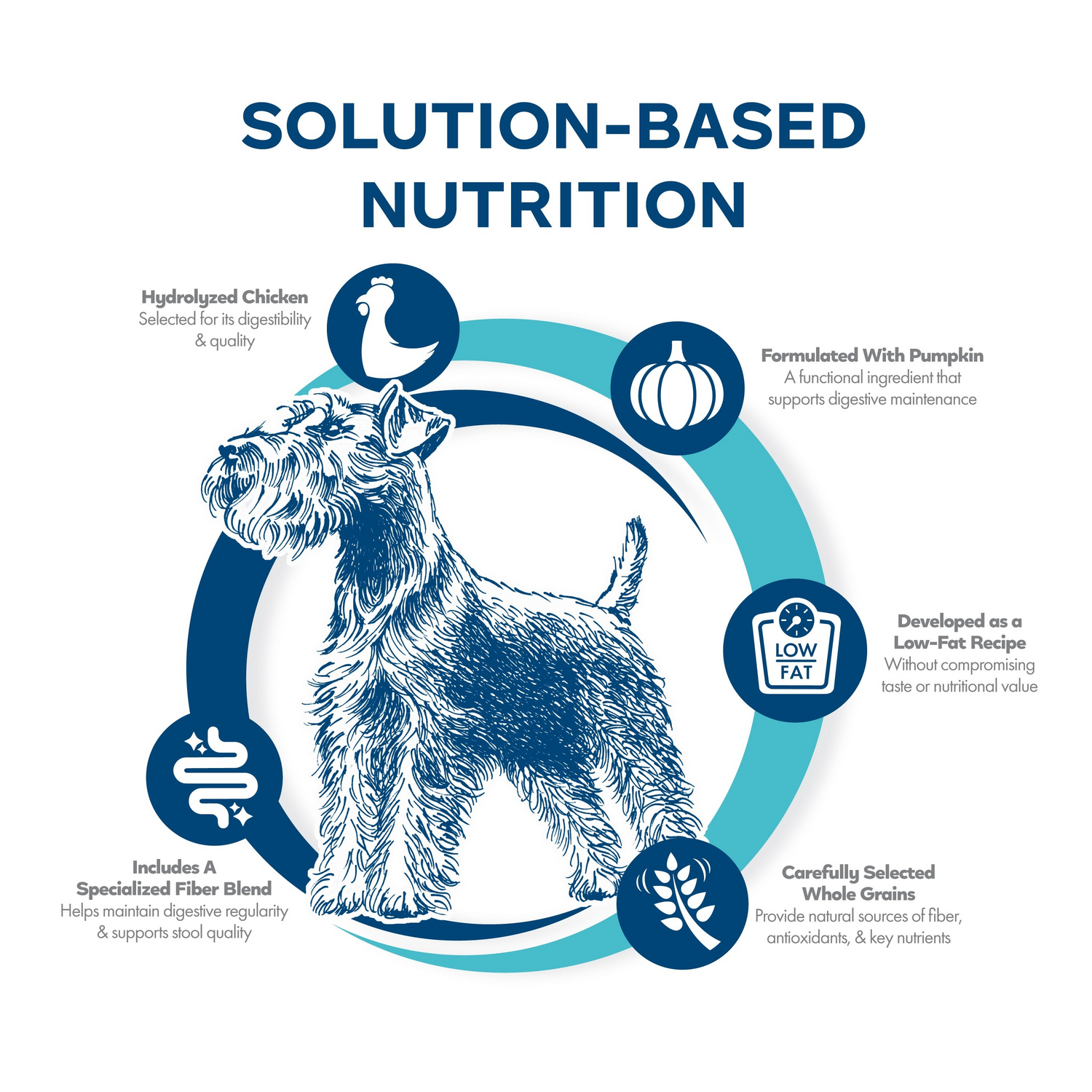 Fromm Nutritionals Digestive Support Low Fat Chicken & Oatmeal Recipe Dog Dry Food