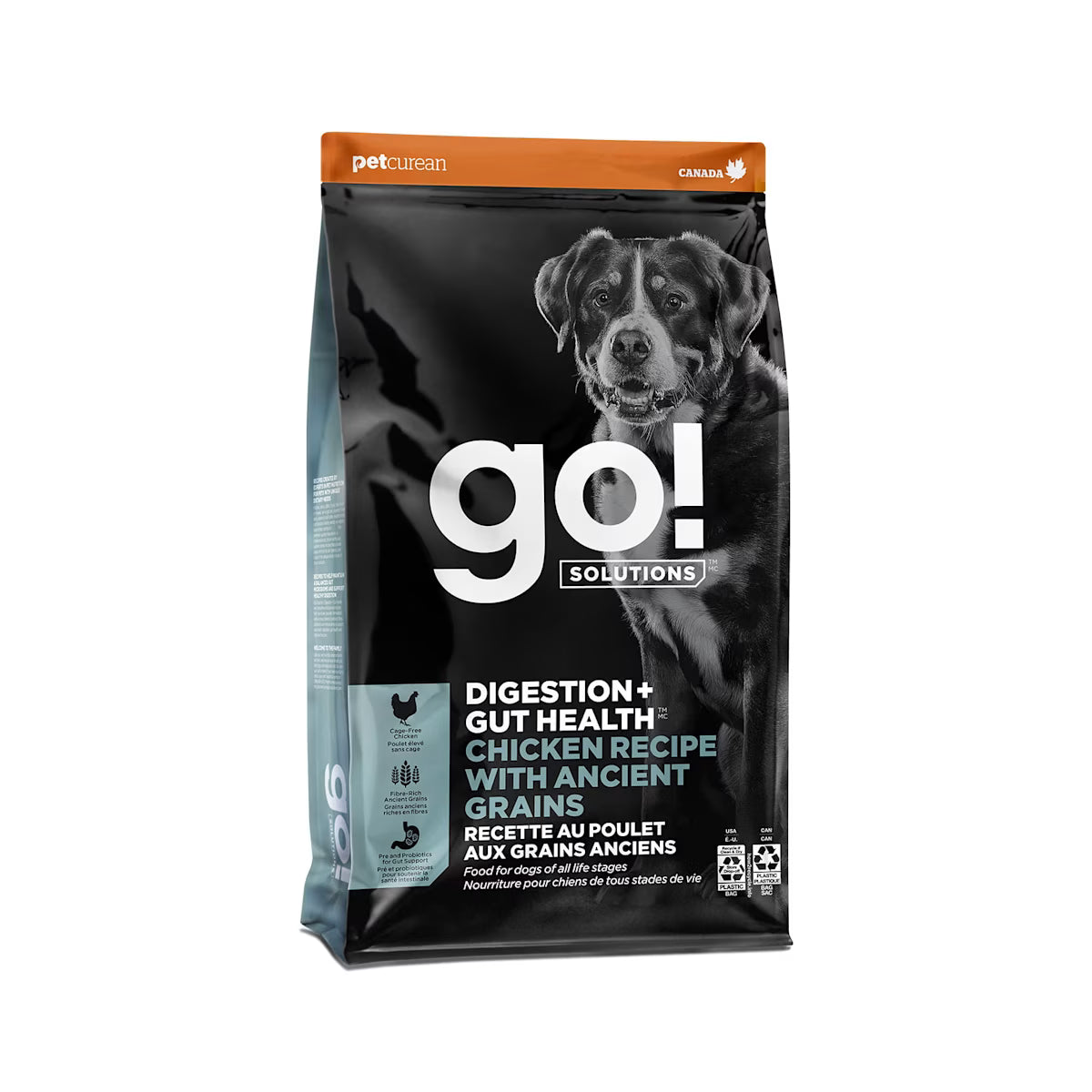 Go Solutions DIgestion Gut Health Chicken Recipe With Ancient Grains Dry Dog Food