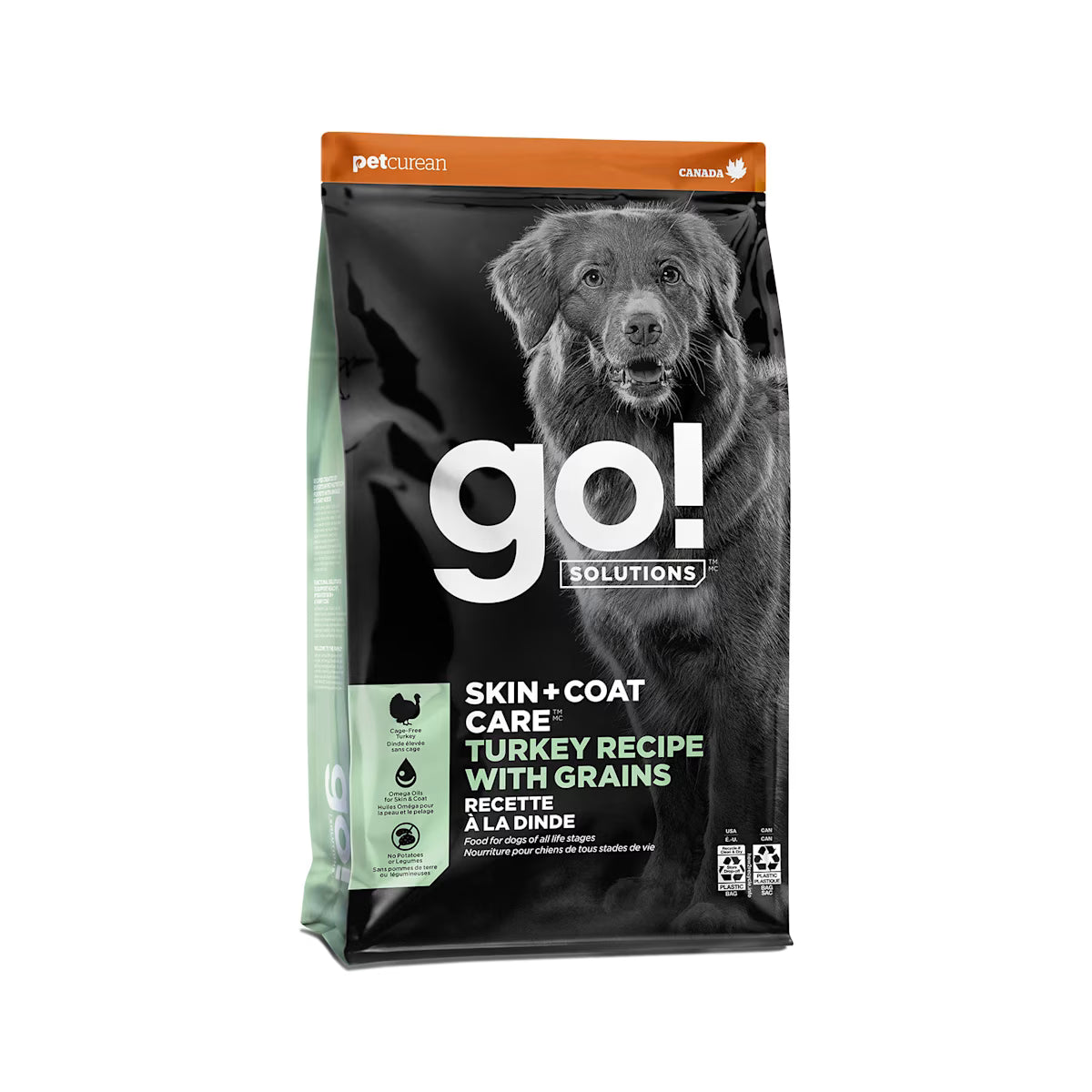 Go Solutions Skin Coat Turkey Dry Dog Food