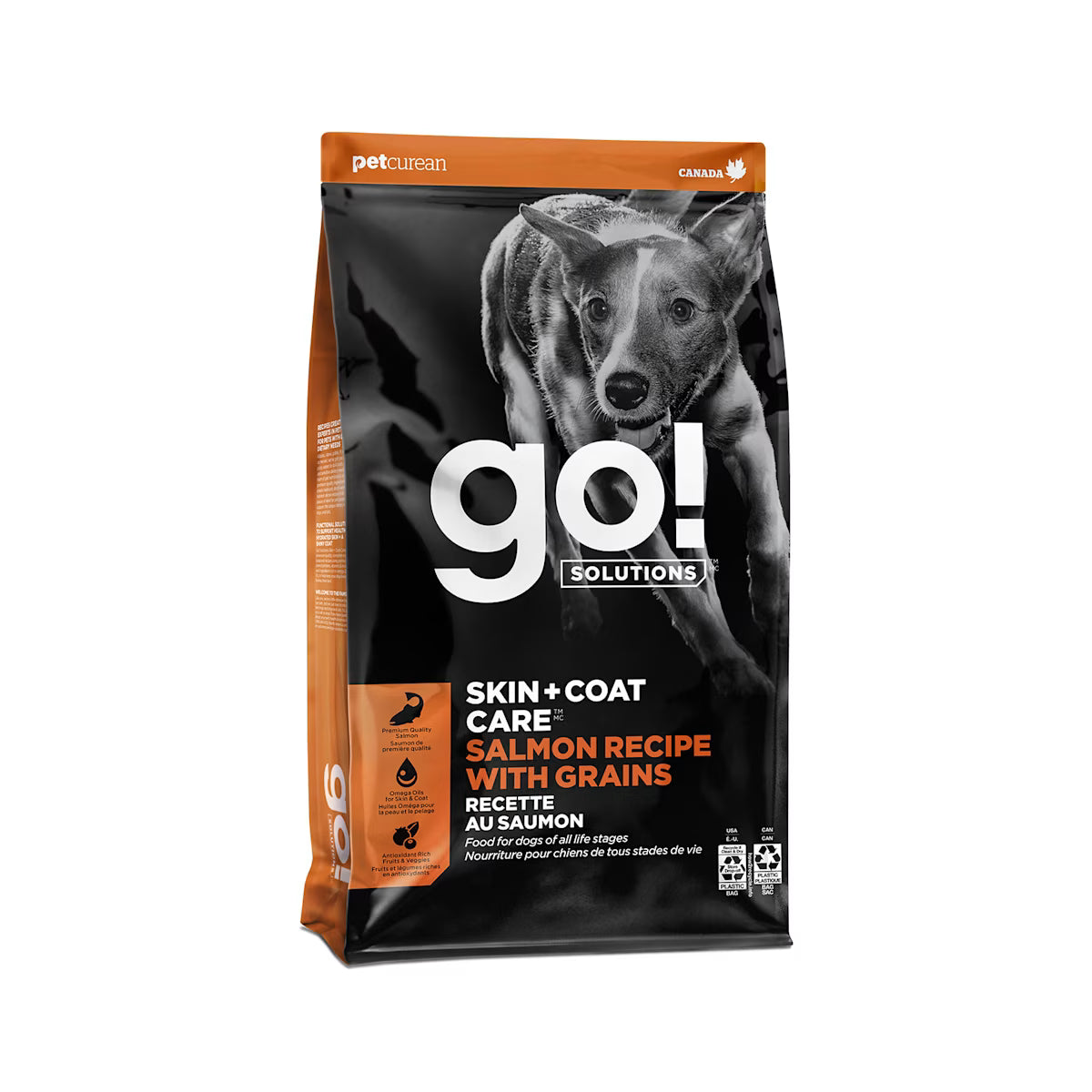 Go Solutions Skin Coat Salmon Dry Dog Food