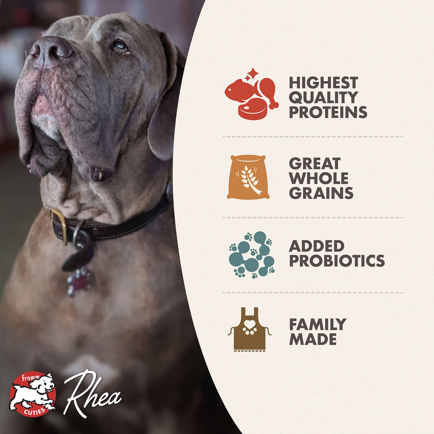 Fromm Classic Adult Large & Giant Breed Recipe Dog Dry Food
