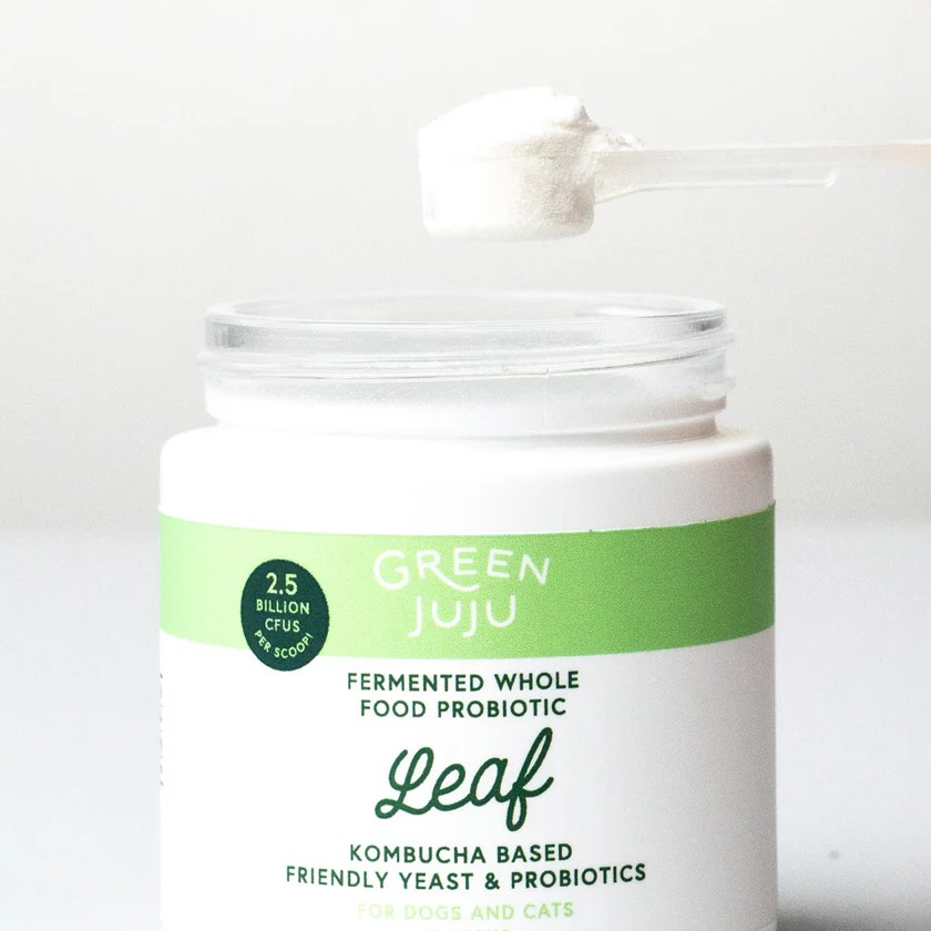 Green Juju Leaf Fermented Kombucha-Based Probiotic For Dogs & Cats