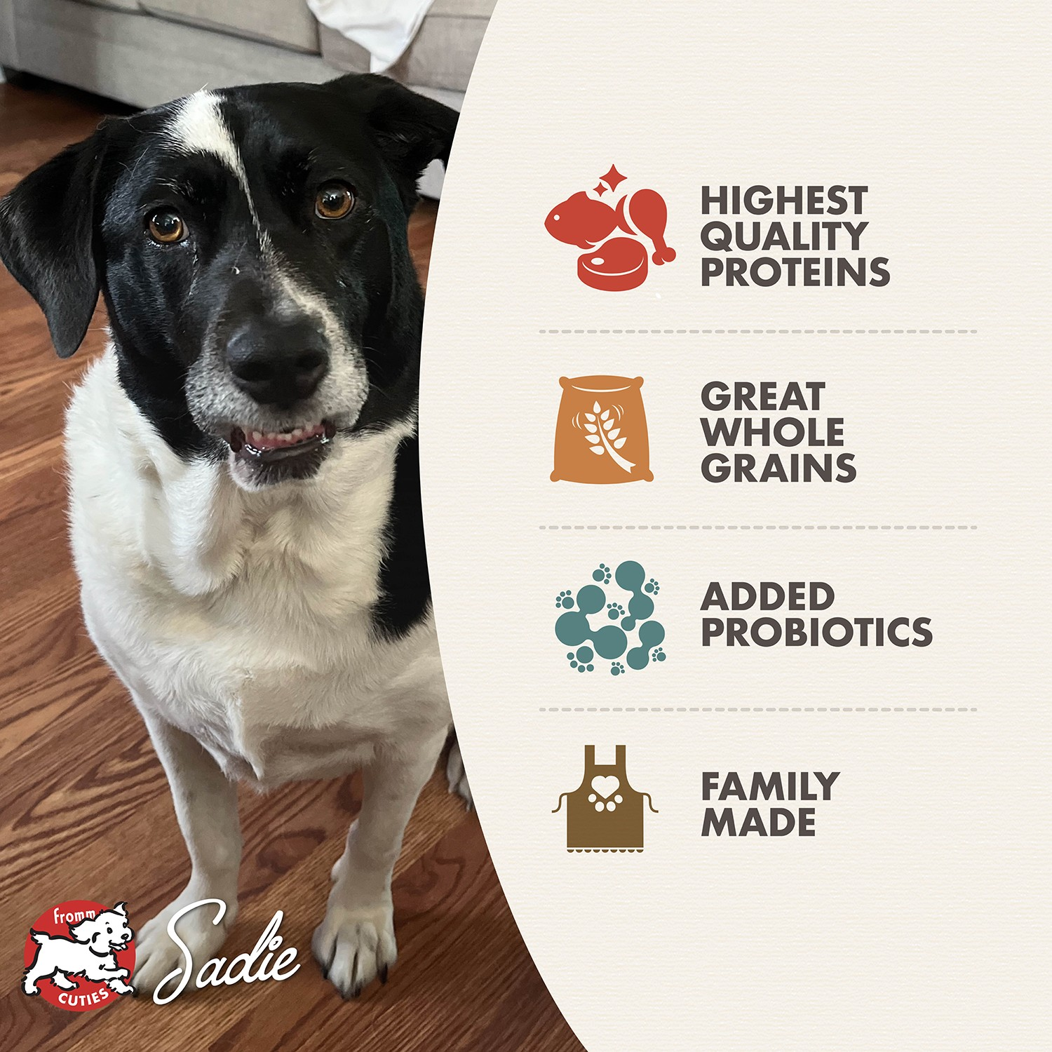 Fromm Classic Mature Adult Recipe Dog Dry Food