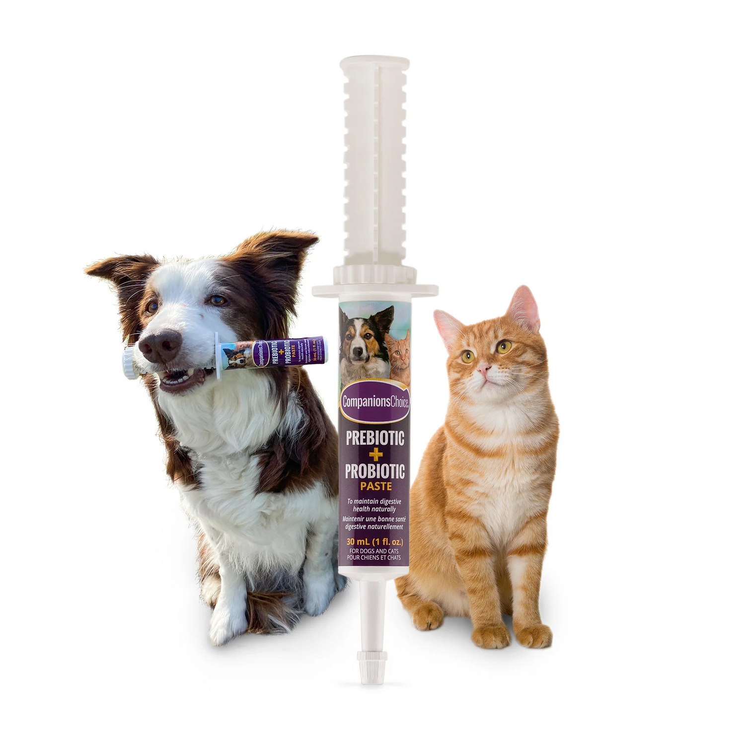 Companions Choice Prebiotic + Probiotic Paste Tube For Dog & Cat 30g