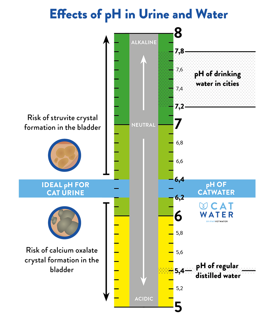 Vet Water Ph Balanced Cat Water
