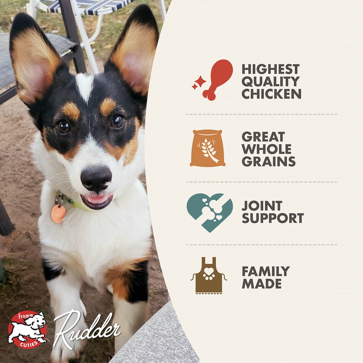 Fromm Classic Puppy Recipe Dog Dry Food
