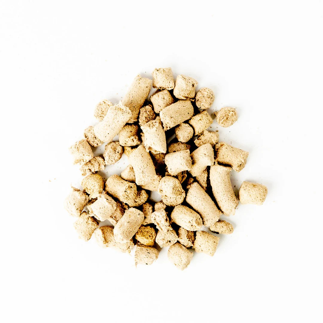 Green Juju Salmon Blue Freeze-Dried Whole Food Bites For Dogs & Cats
